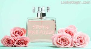 Aroma M6170226