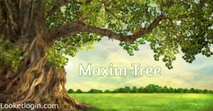 Maxim Tree