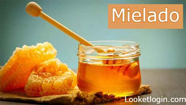 Understanding Mielado: Benefits, Uses, Varieties, and More