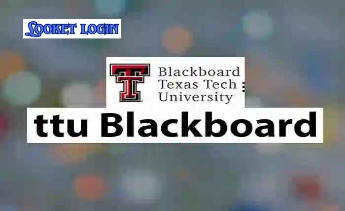 TTU Blackboard: How to Access & Use Your Student Portal