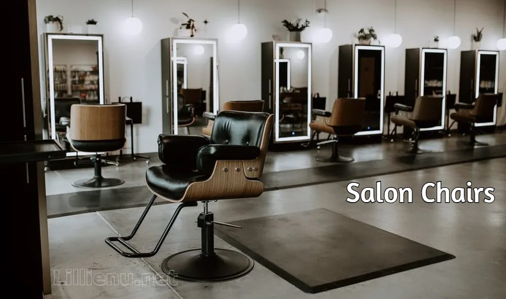 Salon Chairs