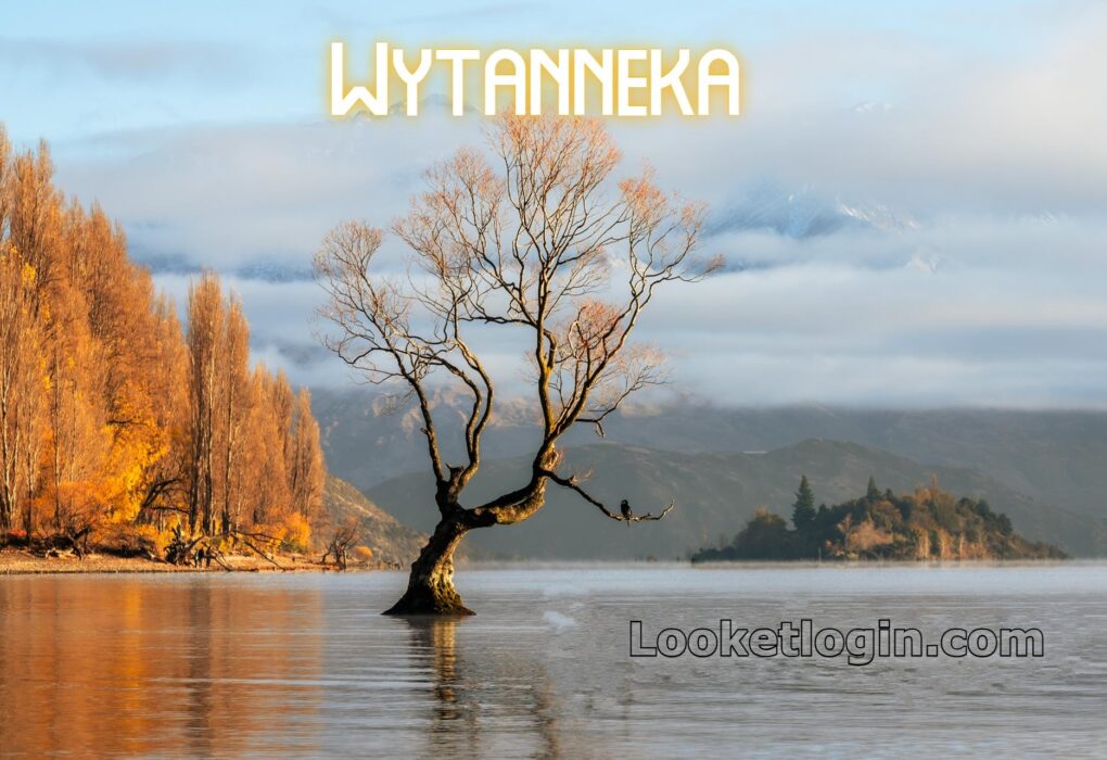 Wytanneka