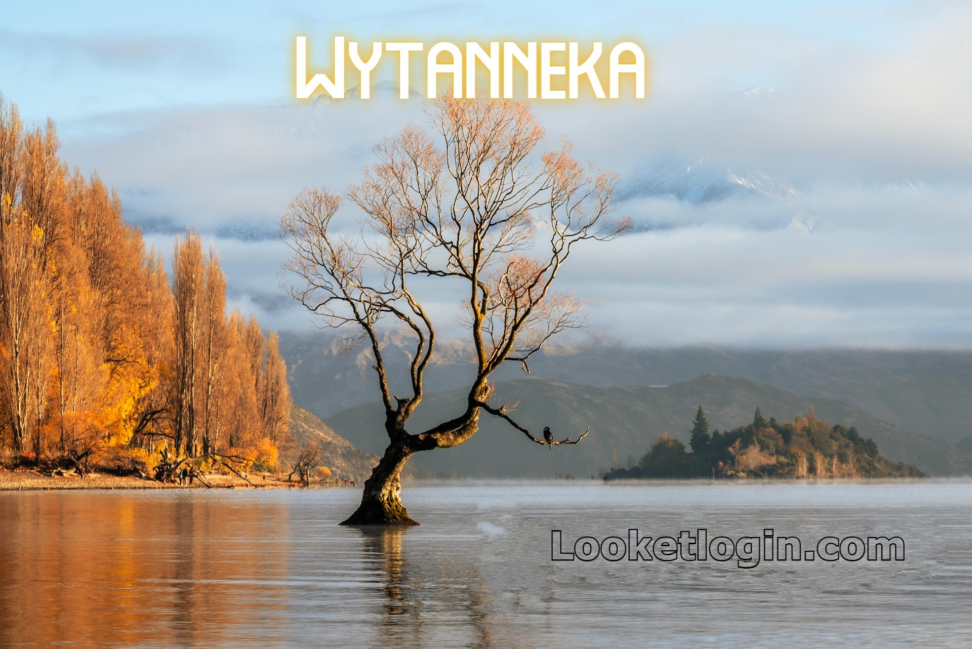 Wytanneka